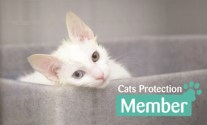 catsmembershipform