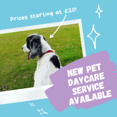 20200801_133551_0000