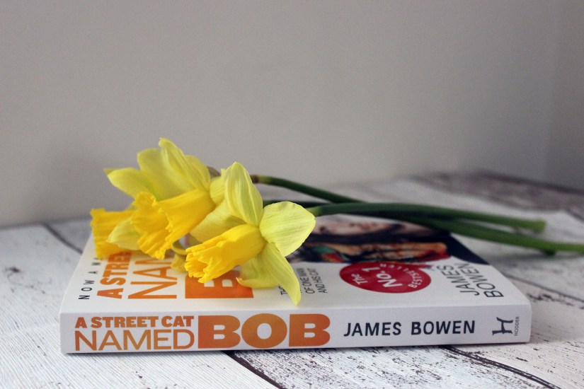 A Street Cat Named Bob by James Bowen – Book Review – Wirral Woof Pack
