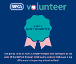 RSPCA Microvolunteer! (1)